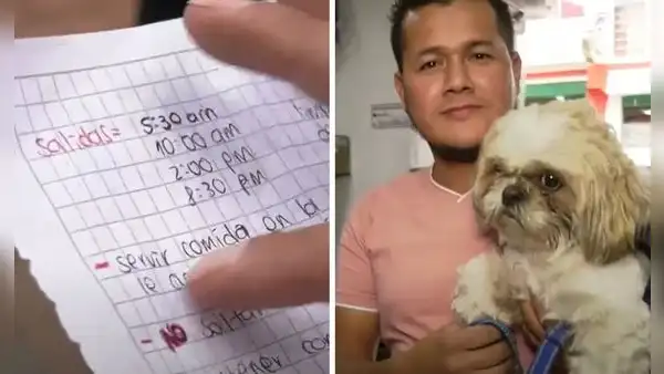 Taxista encontró a perrito abandonado con una nota en su auto: caso conmovió a miles