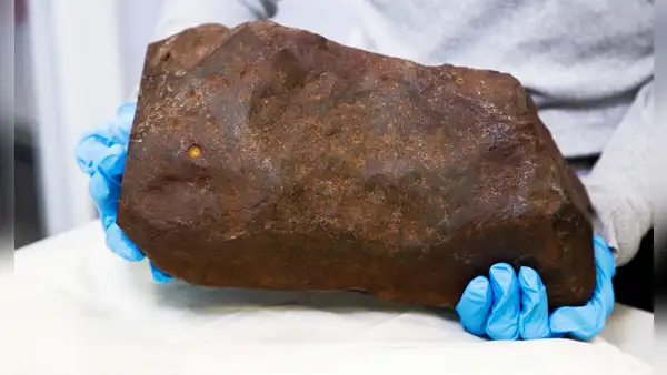 Hombre guarda una piedra de 17 kilos durante años convencido que era oro pero descubren que era algo más valioso