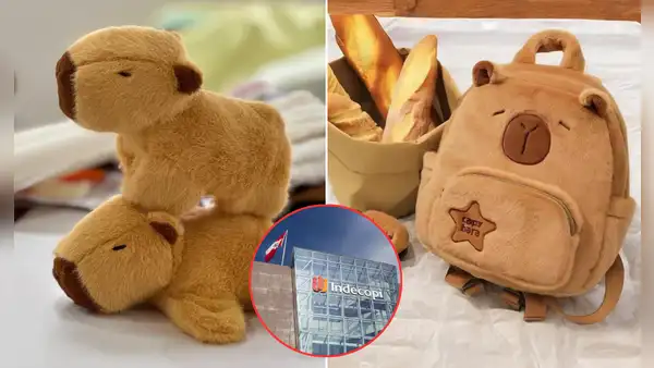 Empresario chino registró la palabra 'Capibara' como marca ante Indecopi y organismo desmiente prohibición de artículos a comerciantes