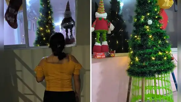Peruano sorprende con insólito arbolito de Navidad y usuarios bromean: “No me va a tragar la pobreza”