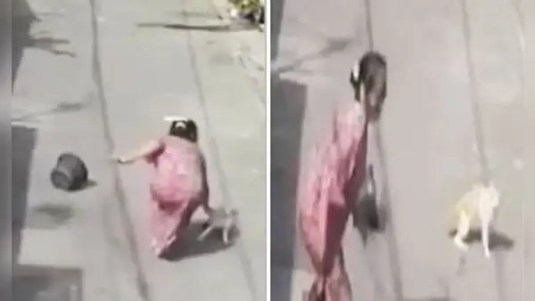 Mujer lanza agua a un gato, pero el felino tiene épica reacción y logra que caiga al suelo