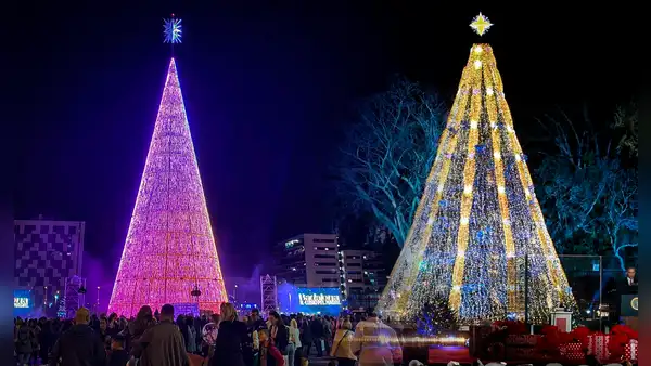 El árbol de Navidad más alto de América Latina y tercero en el mundo: tiene más de 100 metros