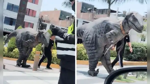 Captan a peruano paseando con ‘dinosaurio’ en Lima y usuarios bromean: “¿Qué raza es?”