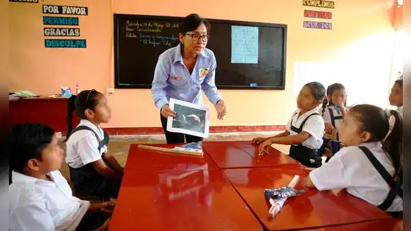 Vacaciones de verano más largas en Perú: este es el nuevo inicio del año escolar 2025, según Minedu