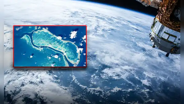 El único animal visible desde el espacio y el más grande del mundo: no es una jirafa ni una ballena azul
