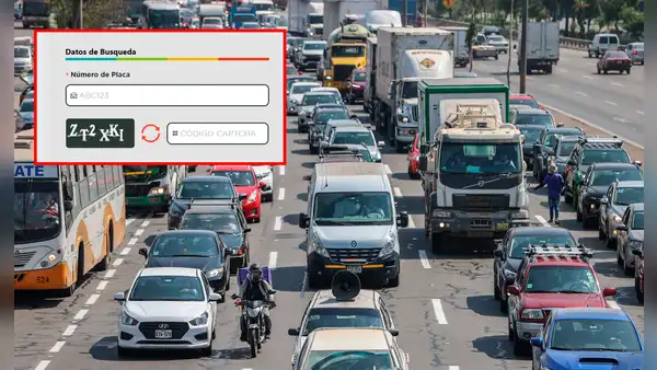 ¿Cómo hacer una consulta vehicular en Sunarp solo con tu número de placa?