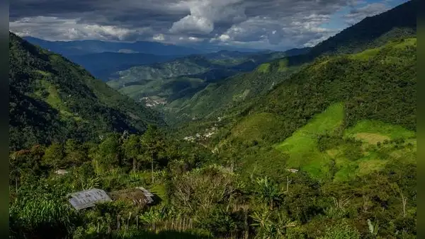 Descubrimiento a 3.000 metros de altura: biólogos hallan dos nuevas especies en los Andes peruanos