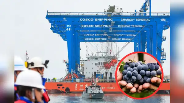 Este fue el primer producto peruano que se envió a China a través del Megapuerto de Chancay: es muy deseado en Asia