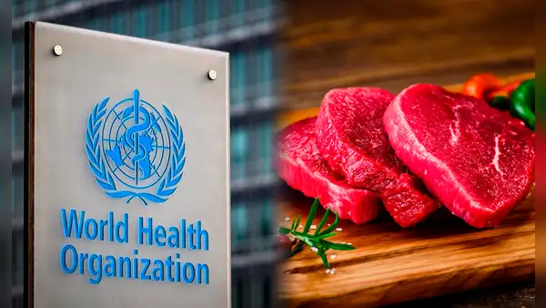 La lista de alimentos que podrían causar cáncer, según advierte la OMS: recomienda regular su consumo