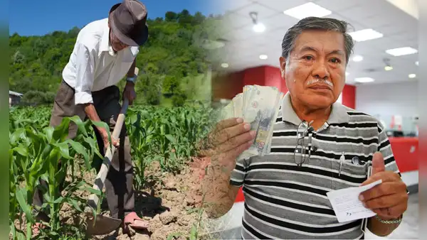 El Estado brinda desde S/400 hasta S/800 si eres agricultor: ¿en qué consiste el seguro y cómo activarlo?