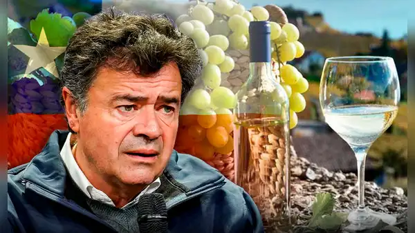 Chile tomará acciones para comprobar origen chileno del pisco tras inscripción ante Unesco: “Son porfiados los peruanos”