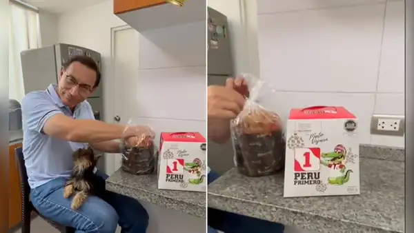 Martín Vizcarra se volvió tendencia en TikTok al presentar su nuevo panetón con curioso nombre: 'El Lagarto'