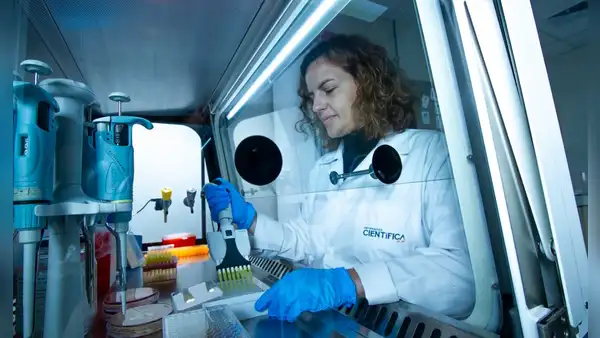 Las universidades del Perú con más publicaciones en revistas científicas durante 2024