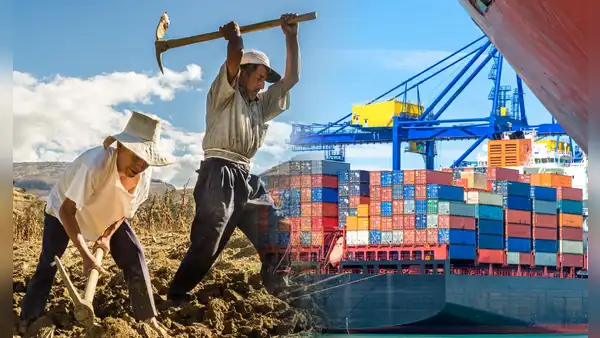 Esta es la fruta que Perú envía por primera vez en barcos de 200 contenedores rumbo a Estados Unidos