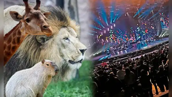 Municipalidad de Lima pretende construir la 'Arena 1' en terreno del Parque de las Leyendas para conciertos masivos
