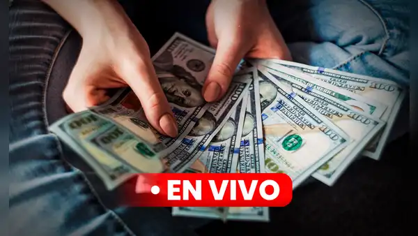 MIRA el precio del Dólar BCV y Dólar Paralelo HOY, 29 de diciembre, en Venezuela, vía Banco Central