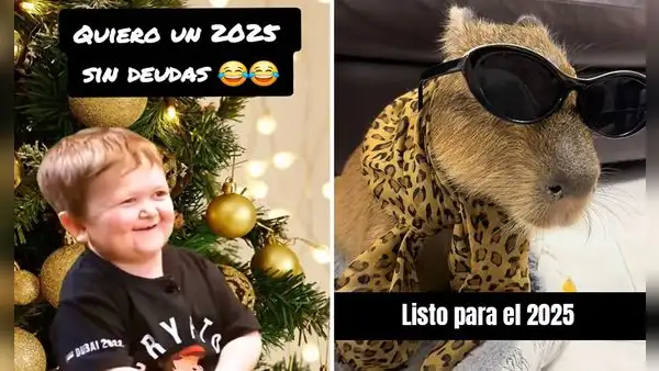 Feliz Año Nuevo: los mejores memes para compartir en WhatsApp y dar la bienvenida al 2025