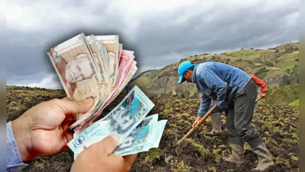 Midagri entrega desde S/400 hasta S/800 para agricultores en Perú: requisitos y cómo acceder en 2025