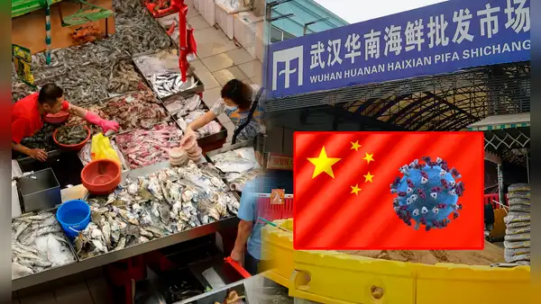 Científicos confirman el mercado de China como el origen de la COVID-19: nuevo estudio revela que se originó por fauna silvestre