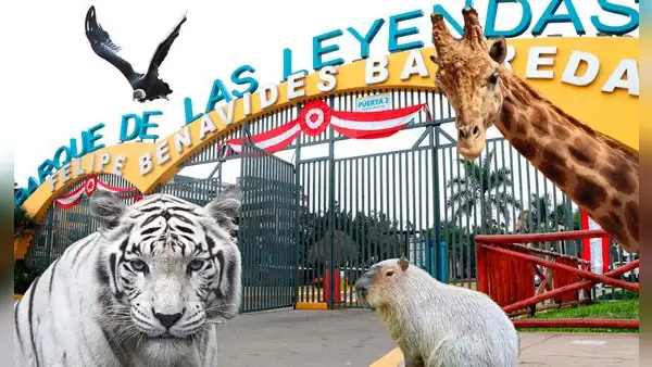 Parque de las Leyendas dará acceso gratuito este 2025: conoce aquí los requisitos para ingresar sin costo
