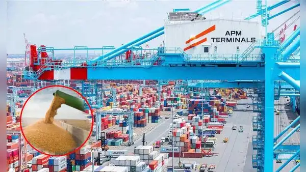 El puerto de Perú que tendrá un moderno terminal para descargar granos de Sudamérica: tiene más del 55% de avance y no es Chancay