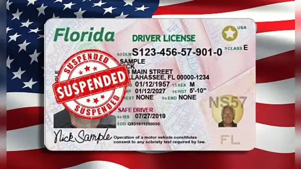 Licencia de conducir en Florida 2025: grupo de conductores que perderían su permiso, según el FLHSMV en EE. UU.