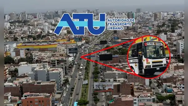 Esta es la empresa de transporte que ya no circulará por las avenidas Faucett, La Marina, Puente Piedra: 21 rutas fueron eliminadas por la ATU