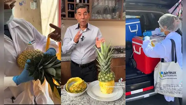 Jaime Delgado advierte altos niveles de agroquímicos en cáscaras de piña peruana, mientras que fruta se exporta a países de EE. UU.