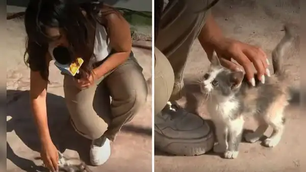 Reportera cubría la detención de delincuentes, pero un gatito se llevó la atención: “Me lo quiero llevar”