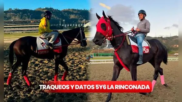 Traqueos y datos 5y6 La Rinconada HOY, 26 de enero: pronósticos fijos de Gaceta Hípica y Cordialito