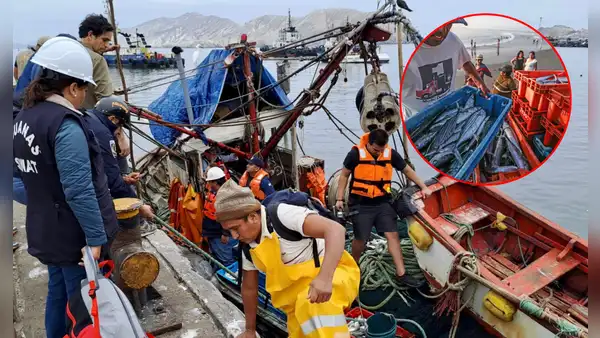 Pesca en Perú: productos en crisis, fiscalización insuficiente y creciente desempleo