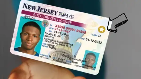 ¡Atención, inmigrante! Este es el poderoso documento que puedes tramitar si no cuentas con tu Real ID en Estados Unidos