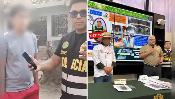 'Pocoyó' y 'Sonic' clonaron página de cevichería "Rico Piura" en Ate para estafar con rifa de camioneta
