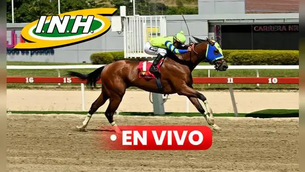 Resultados del 5y6 de La Rinconada del domingo 2 de febrero: ganadores de las carreras válidas durante la R03