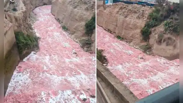 Extraño fenómeno cambia de color el Río Rímac: Sedapal se pronuncia sobre este inusual tono rojo del agua