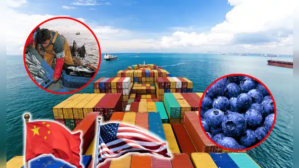 Perú logra récord histórico en exportaciones de US$74.664 millones: productos llegaron a China, EE. UU., Chile y más