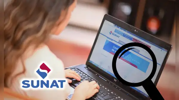 Revisa aquí cómo ver tu recibo de sueldo por honorarios online, vía Sunat 2025