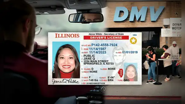 Licencia de conducir en Illinois: requisitos para obtener este documento sin estatus migratorio legal en Estados Unidos