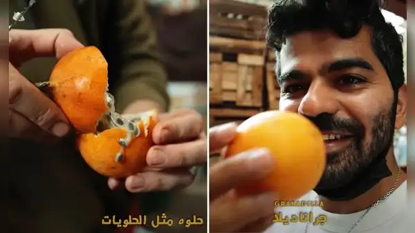 Youtuber árabe prueba fruta peruana por primera vez y tiene reacción viral: "Oh, Dios mío, es increíble"