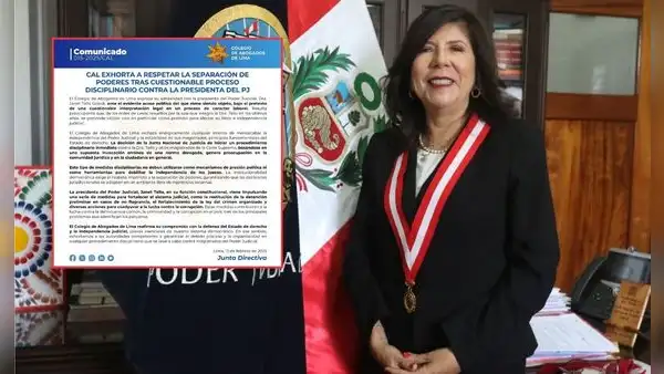 Janet Tello: Colegio de Abogados de Lima advierte sobre acoso político contra la presidenta del Poder Judicial