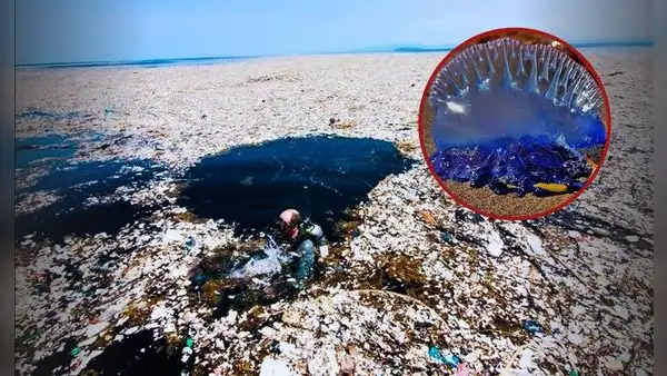 La Isla de Basura que supera el tamaño de Perú con 80.000 toneladas de plástico: se encuentra en el océano Pacífico