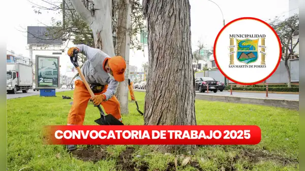Trabajo para personas con primaria completa: Municipalidad de San Martín de Porres ofrece empleos con sueldos de S/1.500