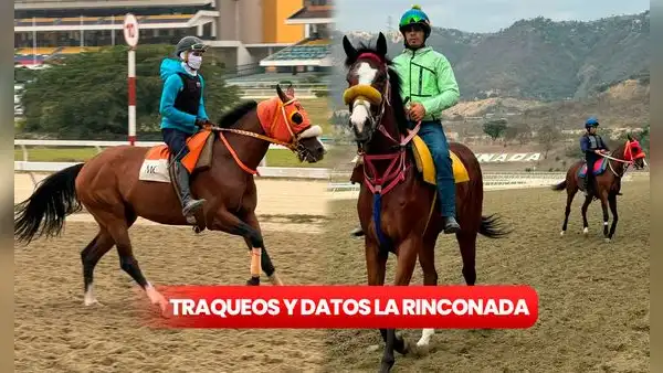 Traqueos y datos fijos del 5y6 La Rinconada, 23 de febrero: pronósticos de Gaceta Hípica y Grupo Cordialito para la R06