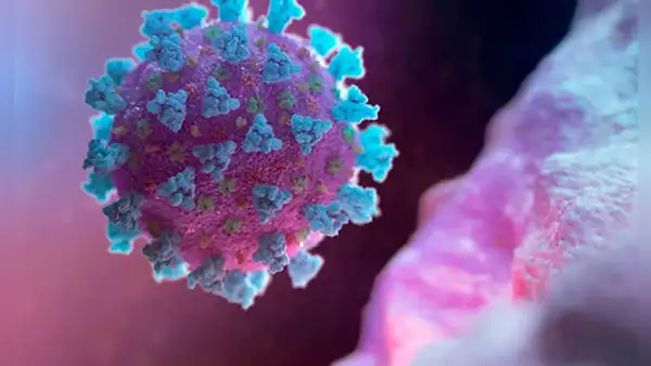 Científicos descubren en murciélagos de China un nuevo virus parecido al coronavirus que infectaría a humanos