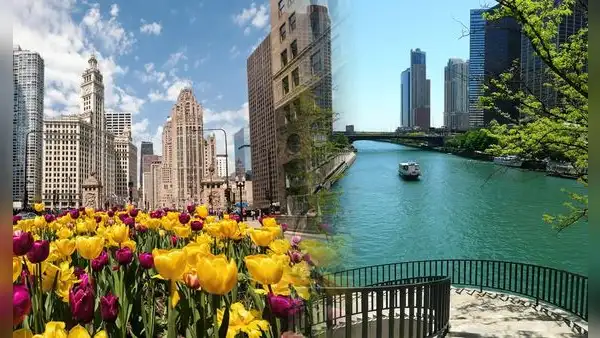 Chicago: cuándo comienza oficialmente la primavera 2025, según el Servicio Nacional de Meteorología de EE. UU.