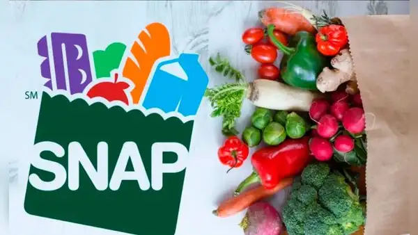 Pagos SNAP en Texas: consulta quiénes reciben los beneficios del programa en la última semana de febrero de 2025 y cómo verificar tu fecha