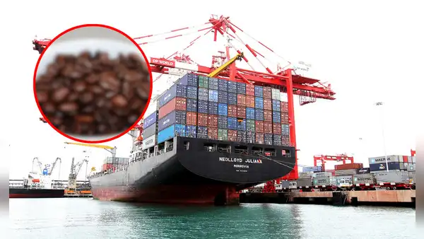 Este país de Sudamérica se convirtió en el noveno exportador mundial de café por US$1.103 millones: le vende a Estados Unidos y Europa