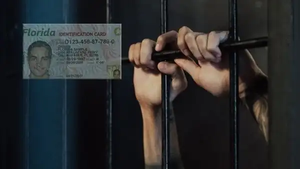Licencia de conducir en Florida: ¿cuáles son las penas máximas por manejar sin brevetes válidos en EE. UU.?