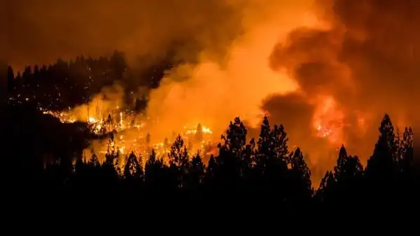 Qué medidas debo tomar si fui afectado por los incendios forestales de 'las Carolinas' de Estados Unidos