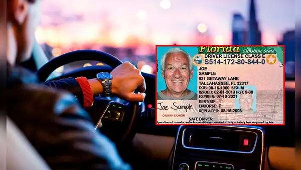 Licencia de conducir en Florida: ¿es válida para demostrar mi estatus migratorio en EE. UU. este 2025, según FLHSMV?